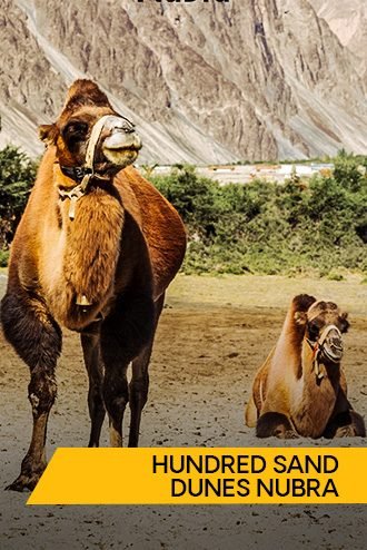 Hundred Sand Dunes Nubra 01